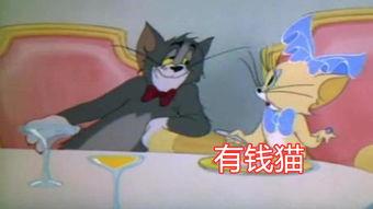 猫和老鼠s2爆料视频,经典角色新篇章，笑料百出引期待  第1张